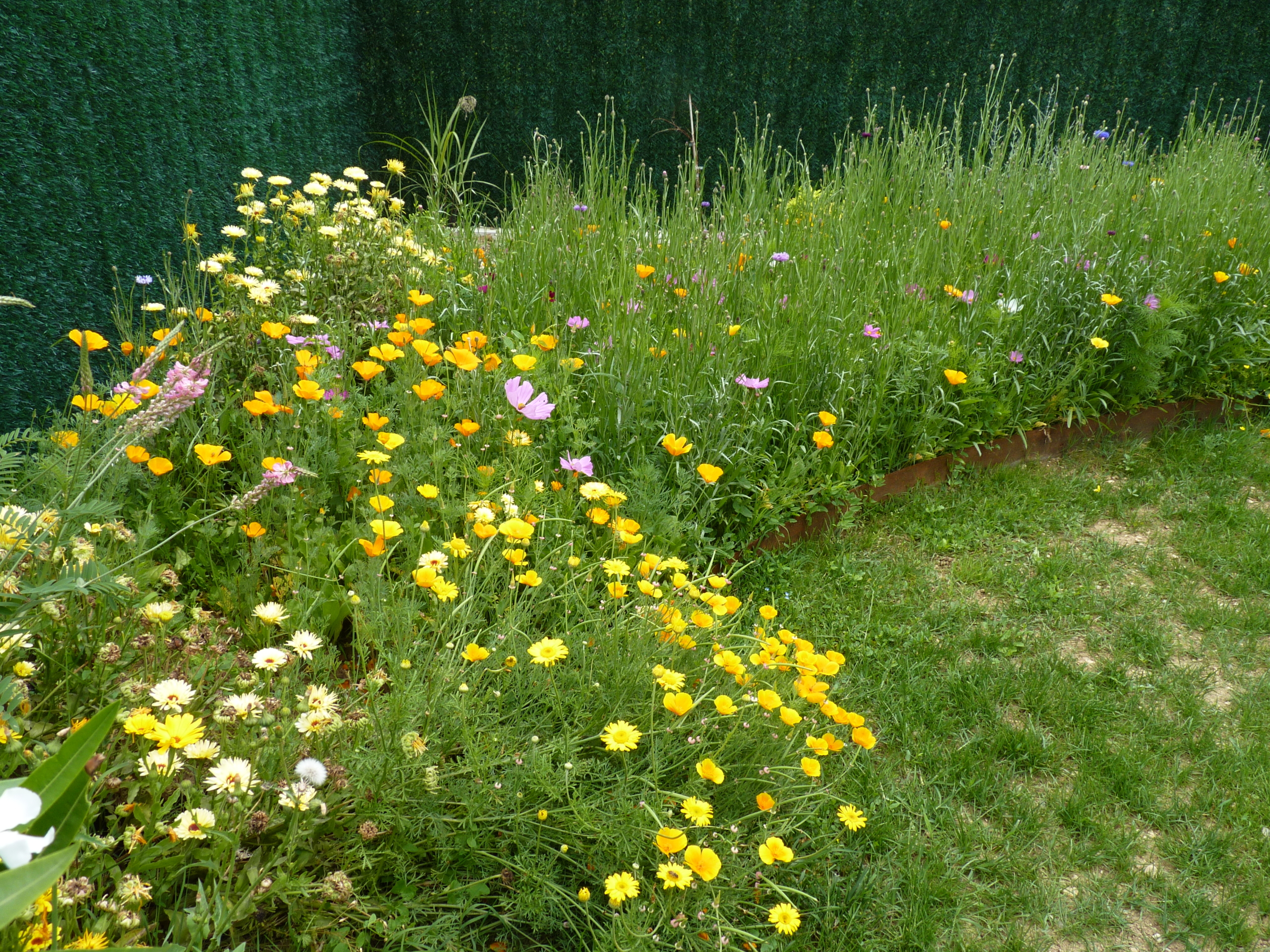 jardin végétal