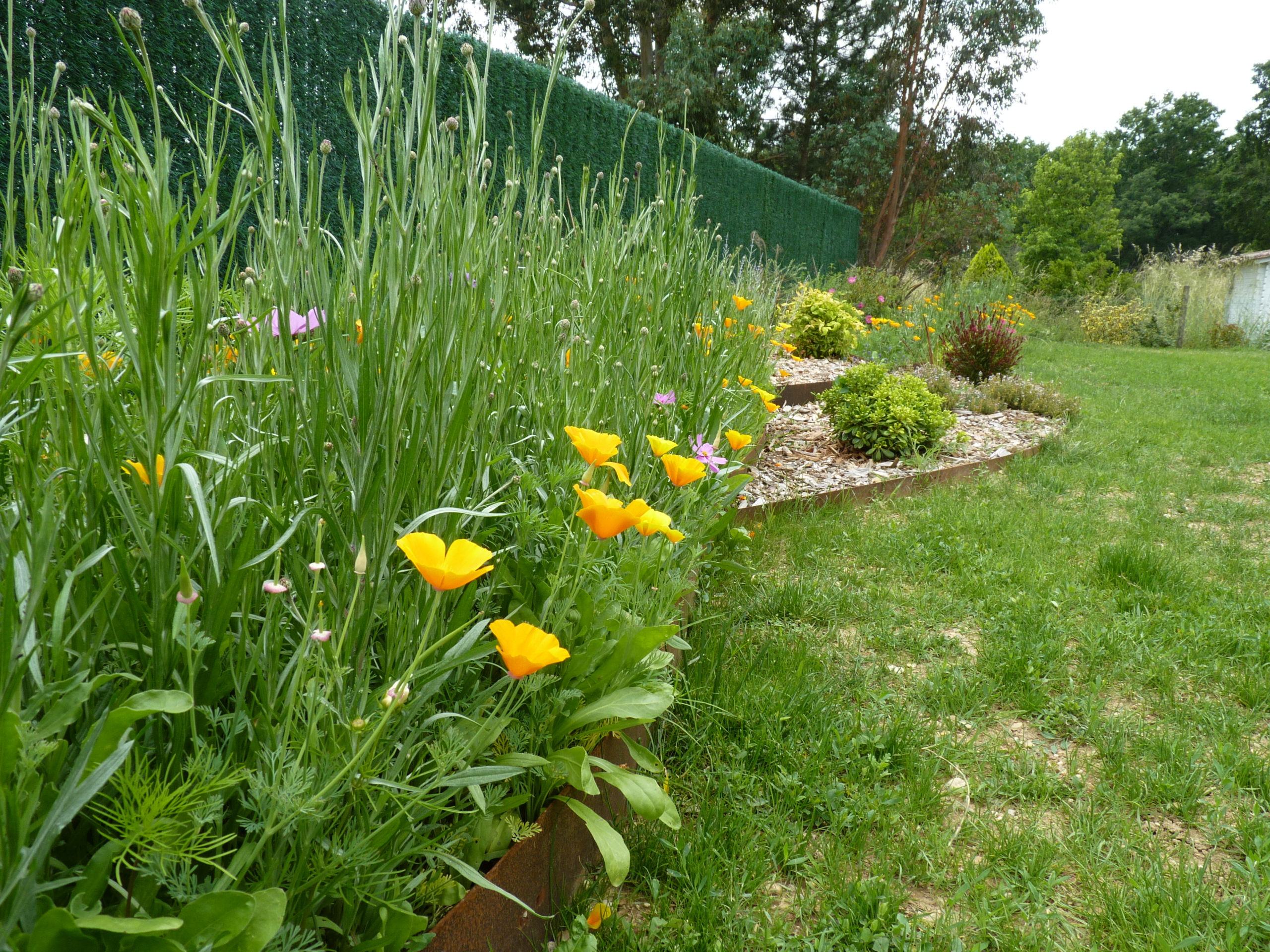 jardin végétal